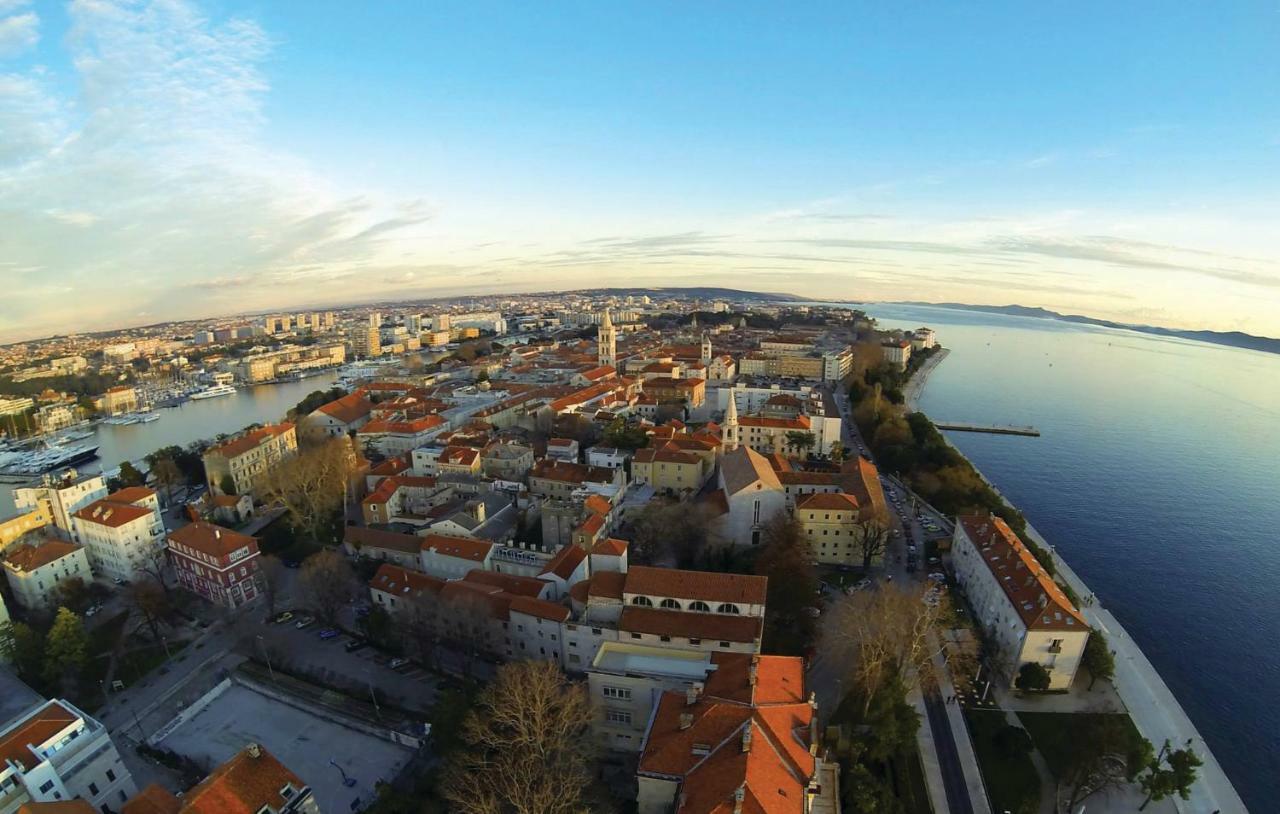 Ane Zadar